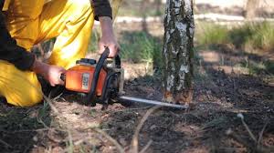 Lawn Grading and Leveling in Frenchtown, NJ